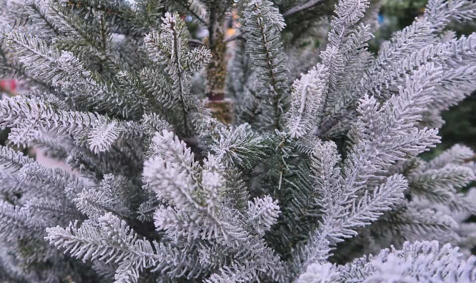 Ideas y tendencias a la hora de decorar el árbol de Navidad 5