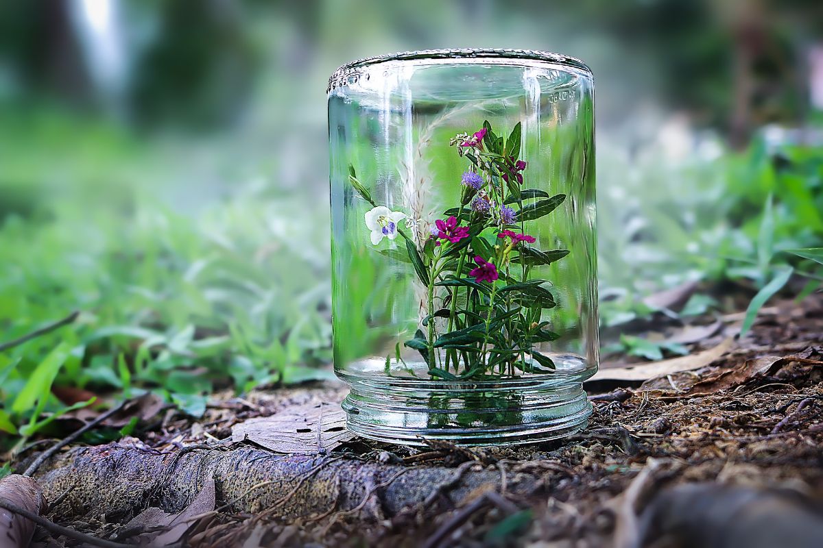 Jardines en botella
