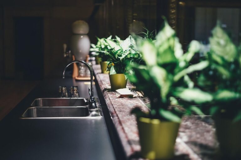 Cómo decorar una cocina con plantas