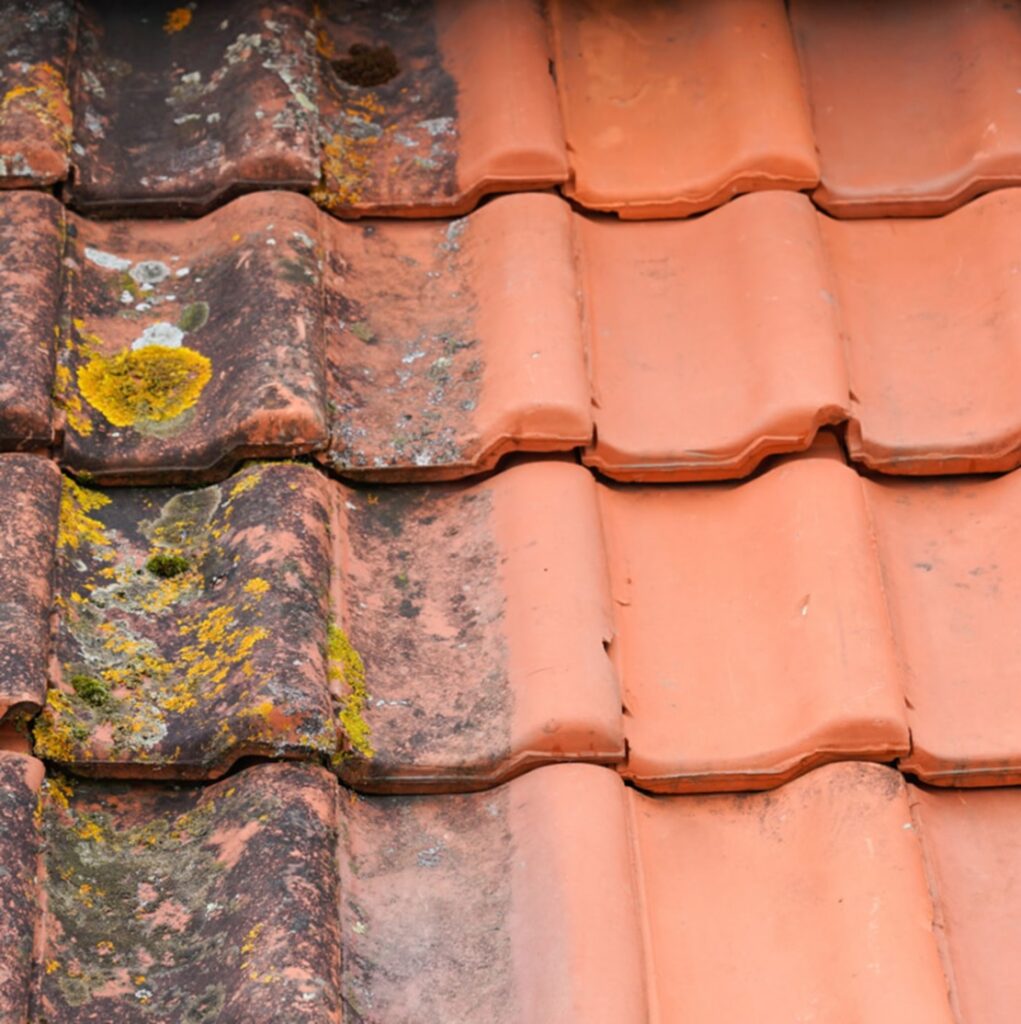 La importancia de limpiar y proteger el tejado de nuestra vivienda 2