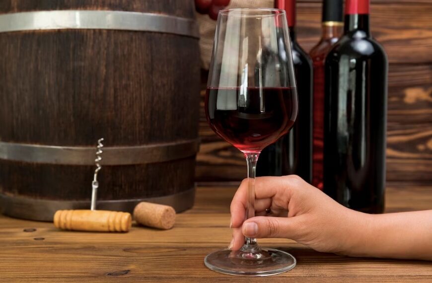 ¿Cómo elegir la vinoteca perfecta para tu colección de vinos?